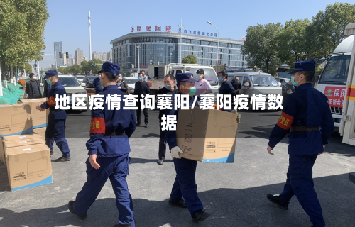 地区疫情查询襄阳/襄阳疫情数据-第2张图片