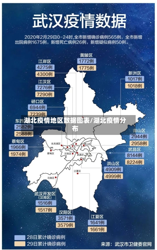 湖北疫情地区数据图表/湖北疫情分布