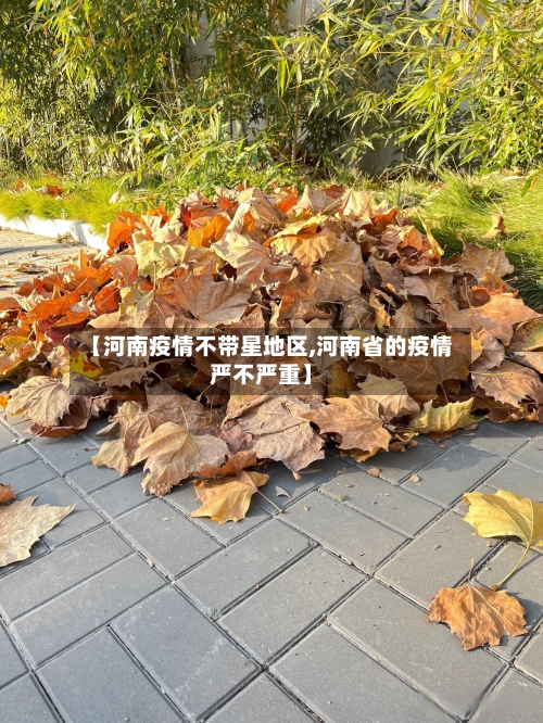 【河南疫情不带星地区,河南省的疫情严不严重】-第2张图片