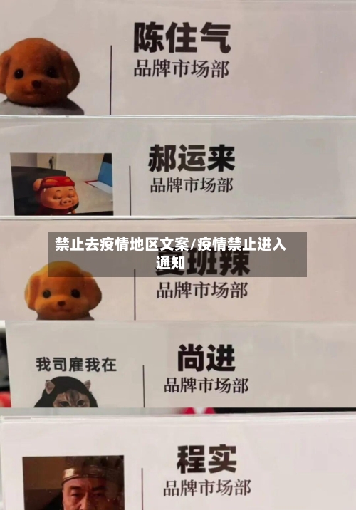 禁止去疫情地区文案/疫情禁止进入通知